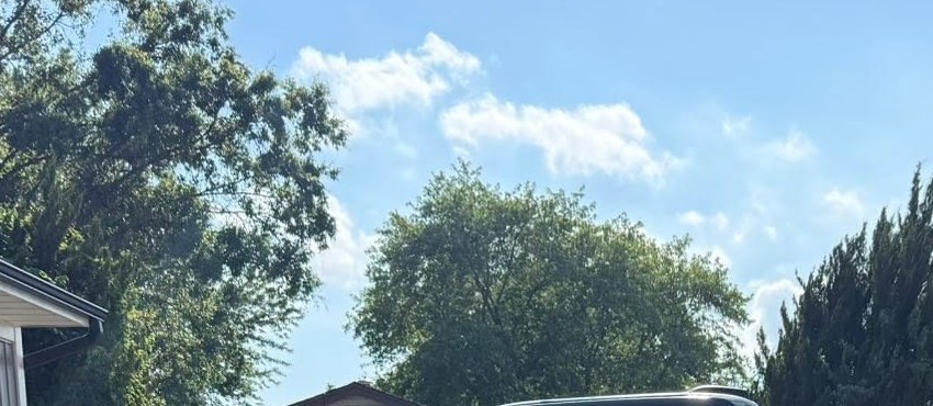Green tree canopy against a blue summer sky, seen through a vehicle window